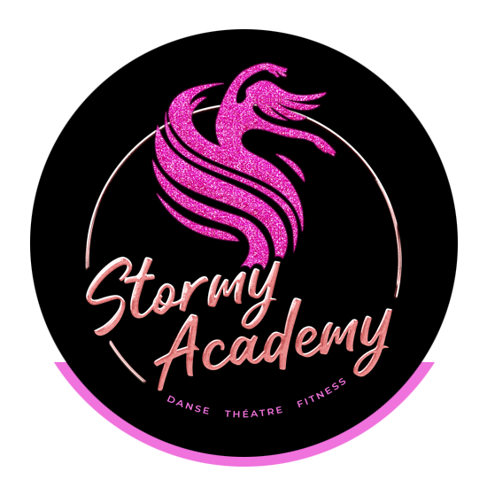 Logo Stormyacademy desktop